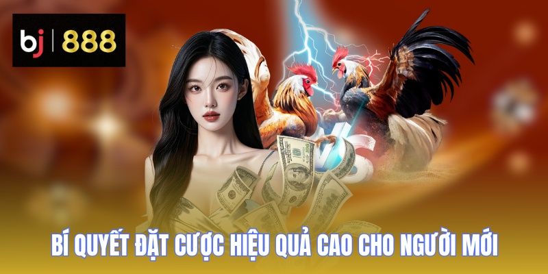 da ga cua dao bi quyet cuoc 2 BJ888