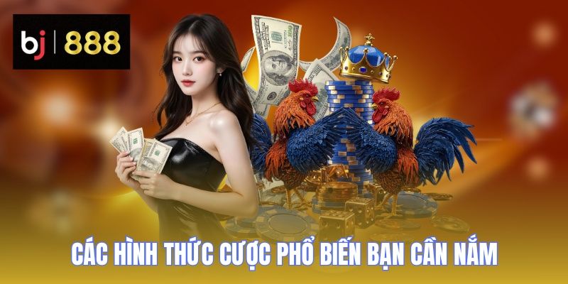 da ga cua dao hinh thuc cuoc 3 BJ888