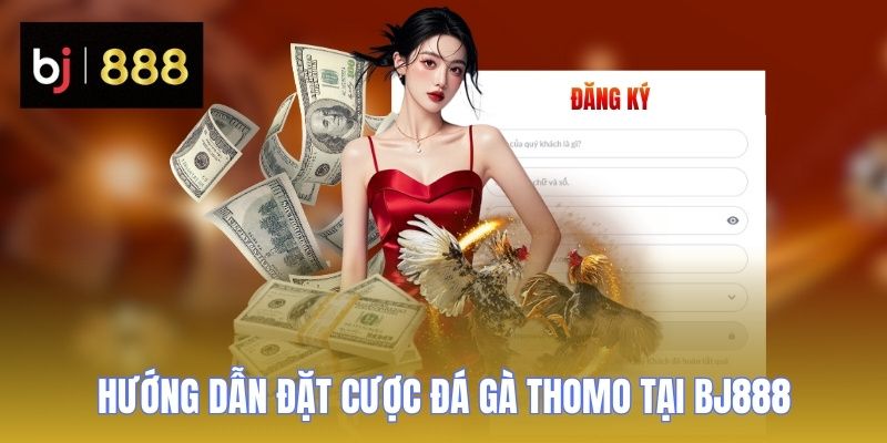 da ga thomo huong dan dat cuoc BJ888