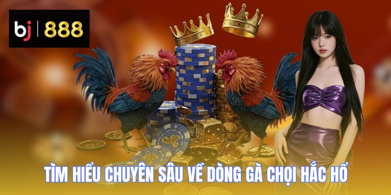 dong ga choi hac ho khai niem BJ888 Tìm hiểu chuyên sâu về dòng gà chọi Hắc Hổ
