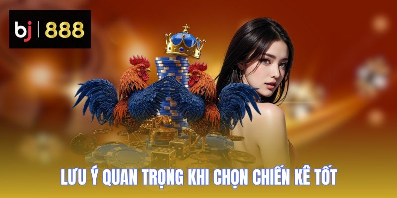 xem tuong ga choi luu y BJ888
