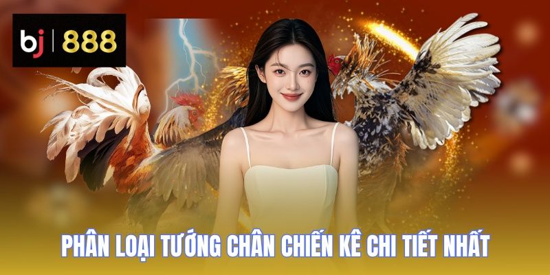 xem tuong ga choi phan loai BJ888