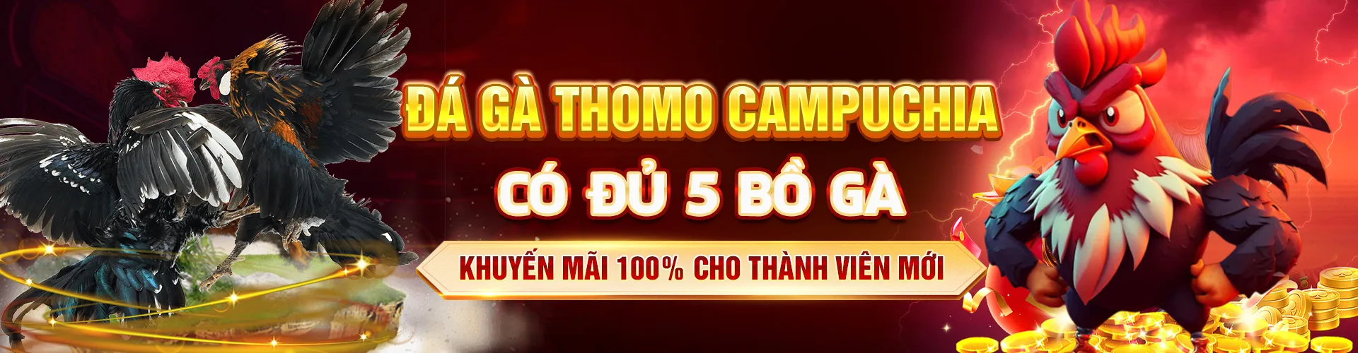 Sảnh đá gà BJ888 kịch tính