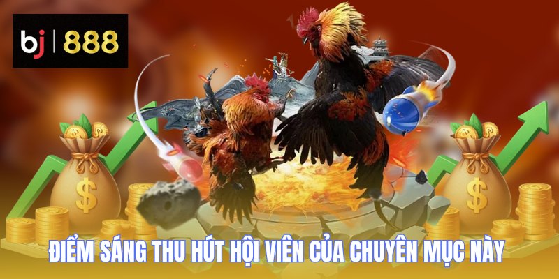 da ga bj888 diem sang
