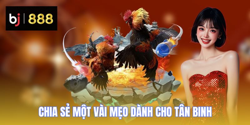 da ga c1 chia se meo BJ888