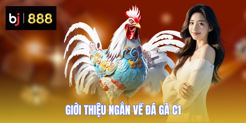 Giới thiệu ngắn về đá gà C1 BJ888 