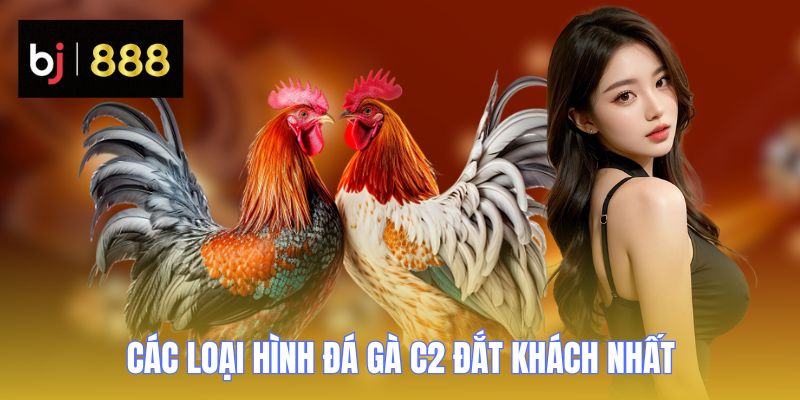 da ga c2 cac loai hinh BJ888 da ga c2 cac loai hinh BJ888