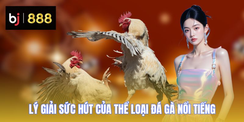 da ga c2 ly giai suc hut BJ888 da ga c2 ly giai suc hut BJ888