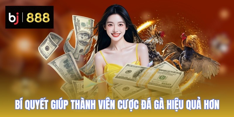 da ga c3 bi quyet BJ888