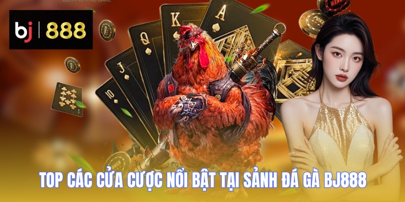 Top các cửa cược nổi bật tại sảnh đá gà BJ888