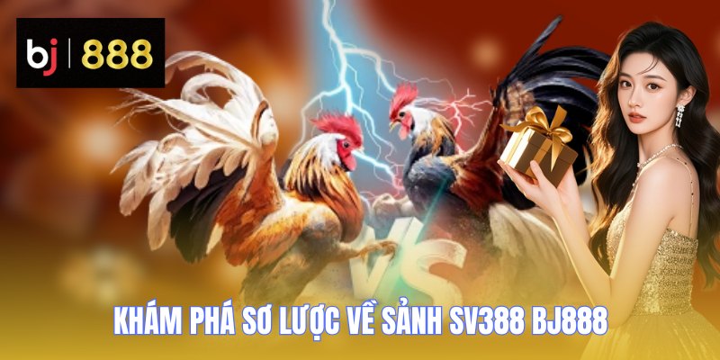 Khám phá sơ lược về sảnh SV388 BJ888