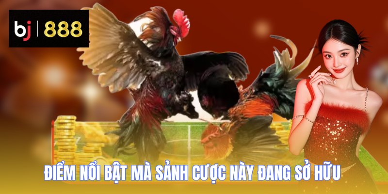 Điểm ưu việt mà sảnh chơi này đang sở hữu 