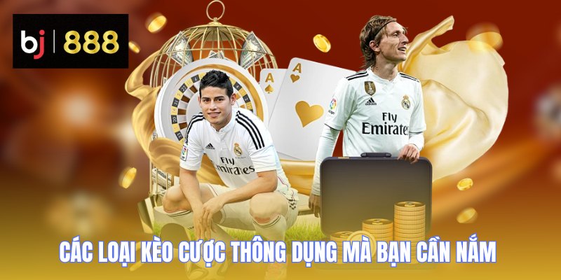 the thao bj888 cac loai